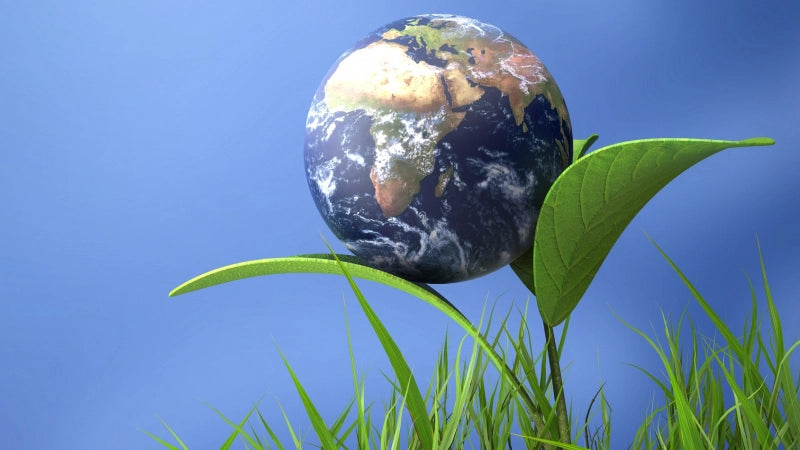 Kurs zum CO2-Fußabdruck