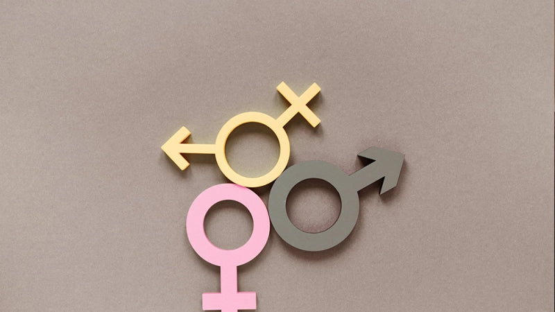 Course in Sexual Orientation and Gender Identity