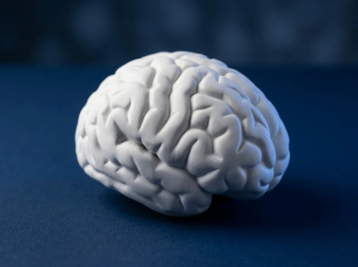 Curso en Atención a Enfermos ante Deterioros Cognitivos