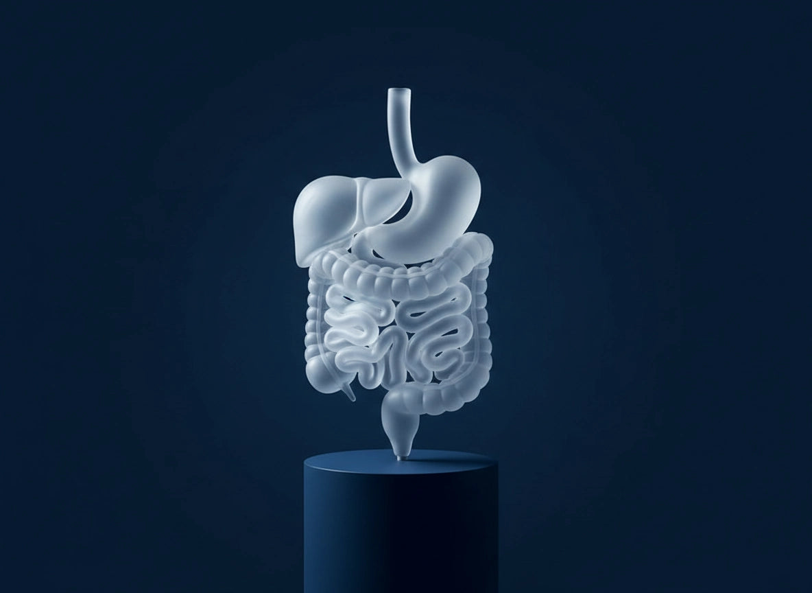 Practical Dietetics Course: Digestive System and Nutritional Needs