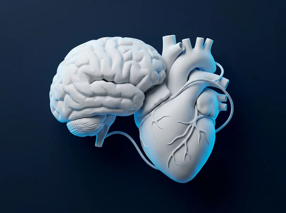 Course in Emotional Intelligence: Value and Care (University Degree + 8 ECTS Credits)