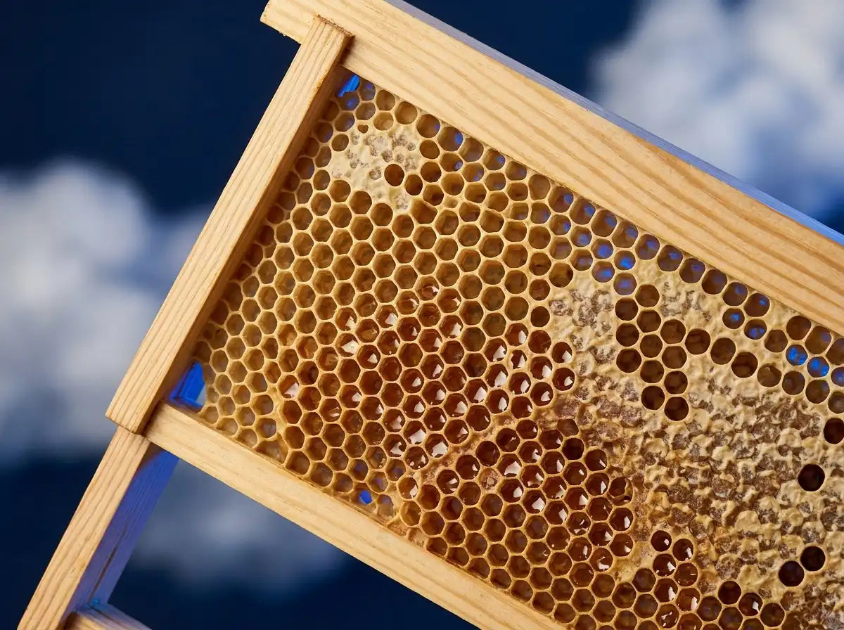 Beekeeper Course