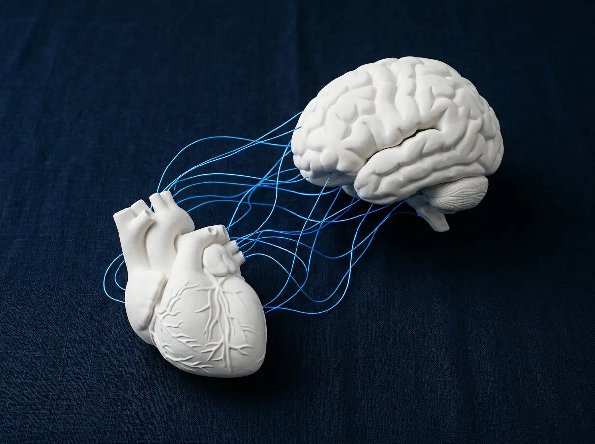 Curso de Psico-Terapia Emocional: Terapia Centrada en las Emociones (Titulación Universitaria + 8 Créditos ECTS)