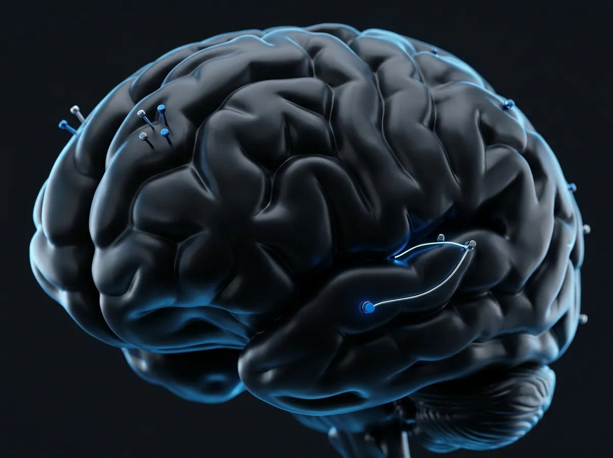 Diploma in Applied Neuromarketing