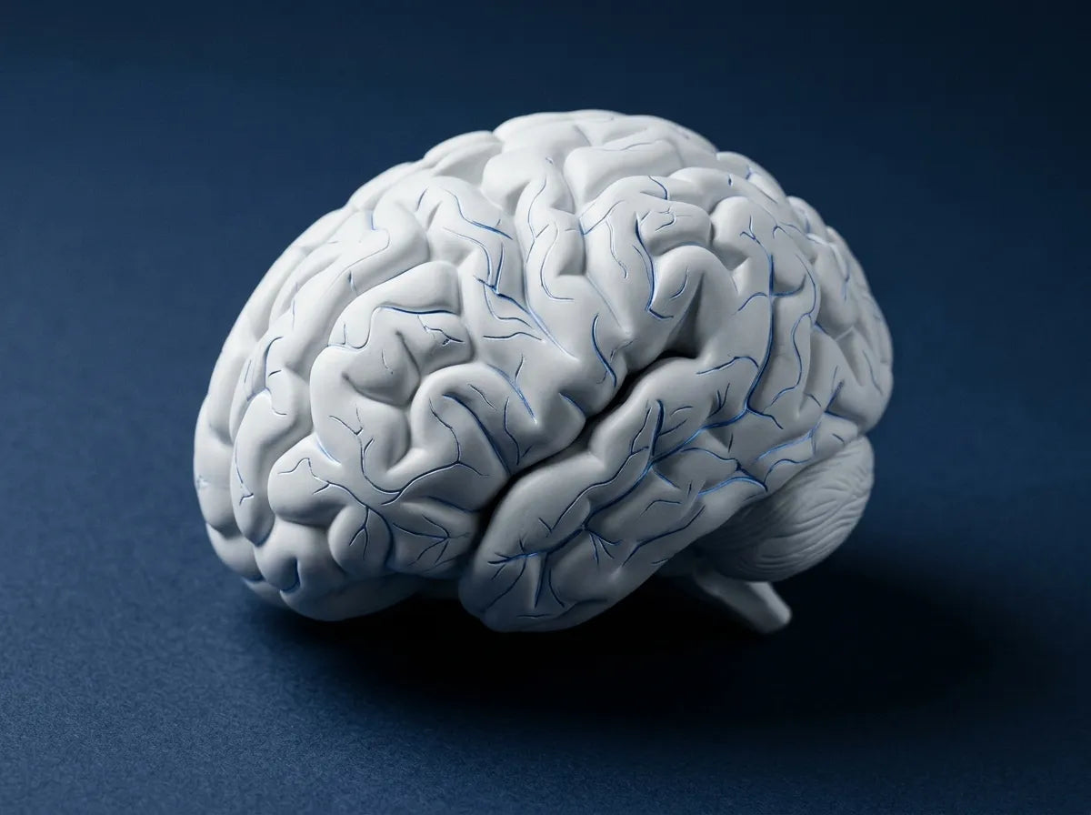 Emotional Intelligence Course (University Degree + 8 ECTS Credits)