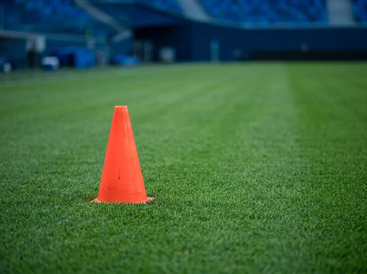 Mental Training Course for Football + Specialization in Sports Psychology (Double Degree + 8 ECTS Credits)