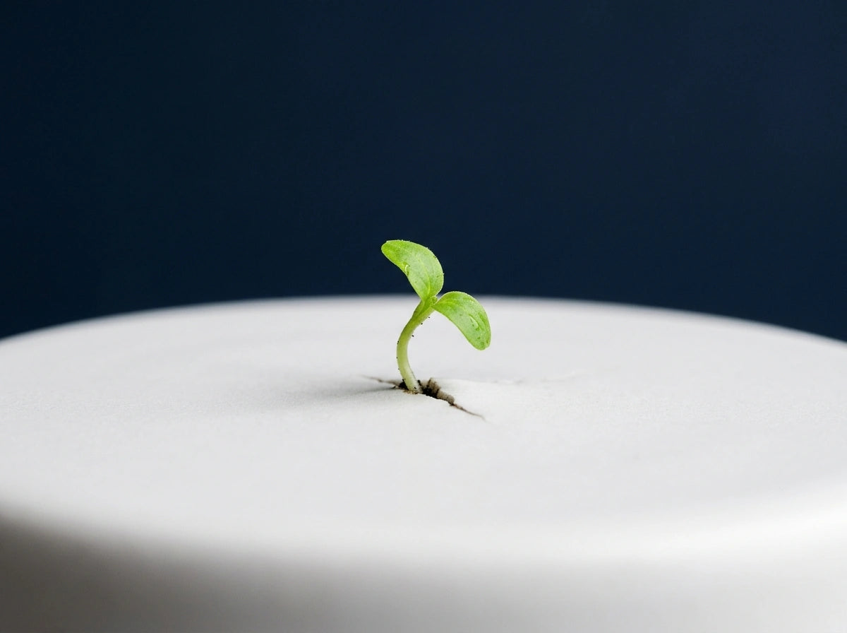 Microcredencial de Fertilidad: Búsqueda del Embarazo + 1 Crédito ECTS