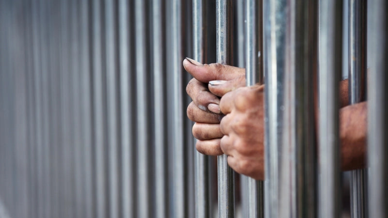 Máster de Director de Centros Penitenciarios + Titulación Universitaria